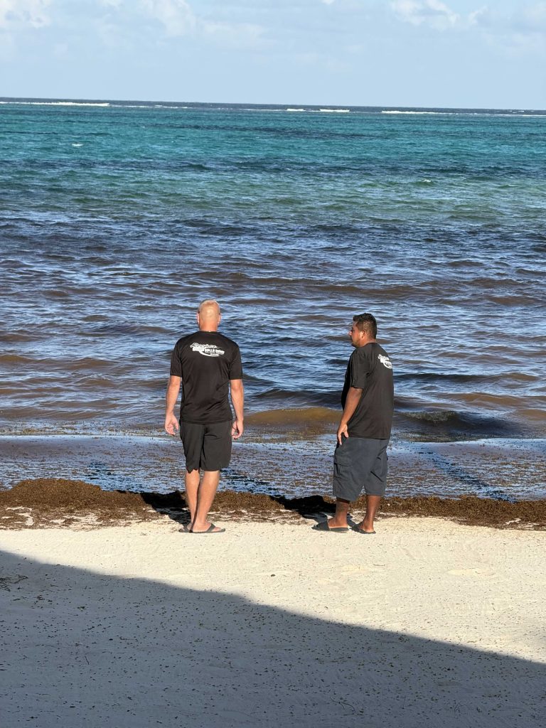 blue breeze staff investigating incoming sargassum before clearing it